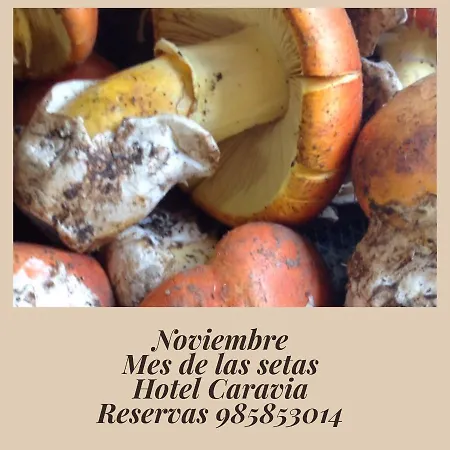 Hotel Caravia Hotel Caravia